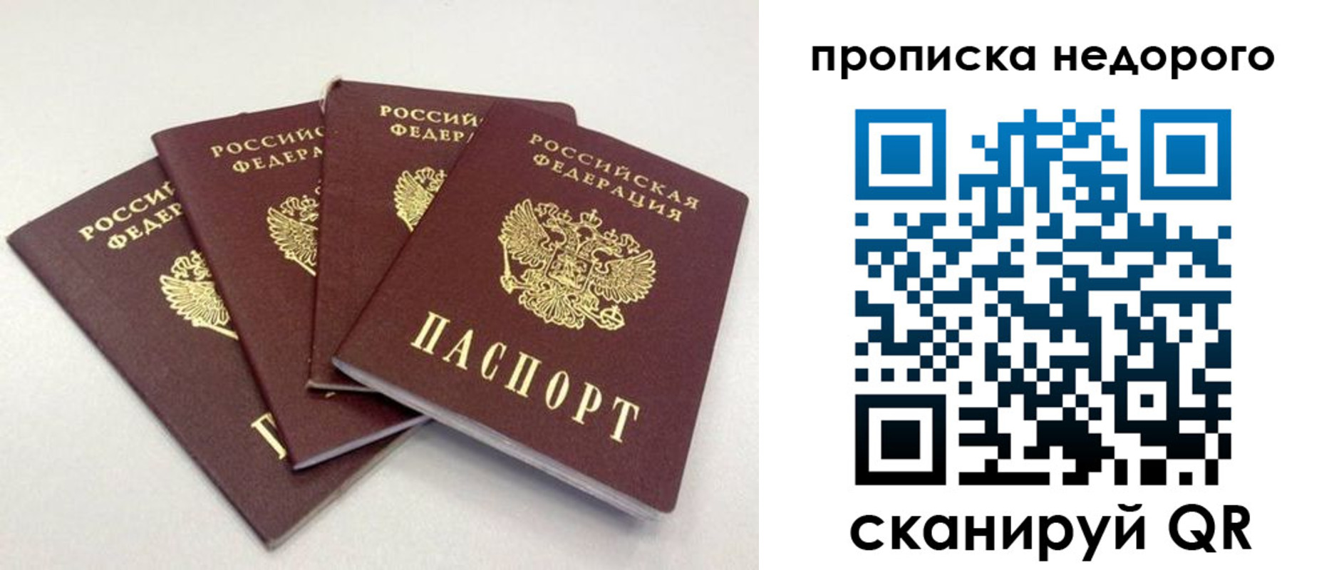 прописка законно в Бабаево
